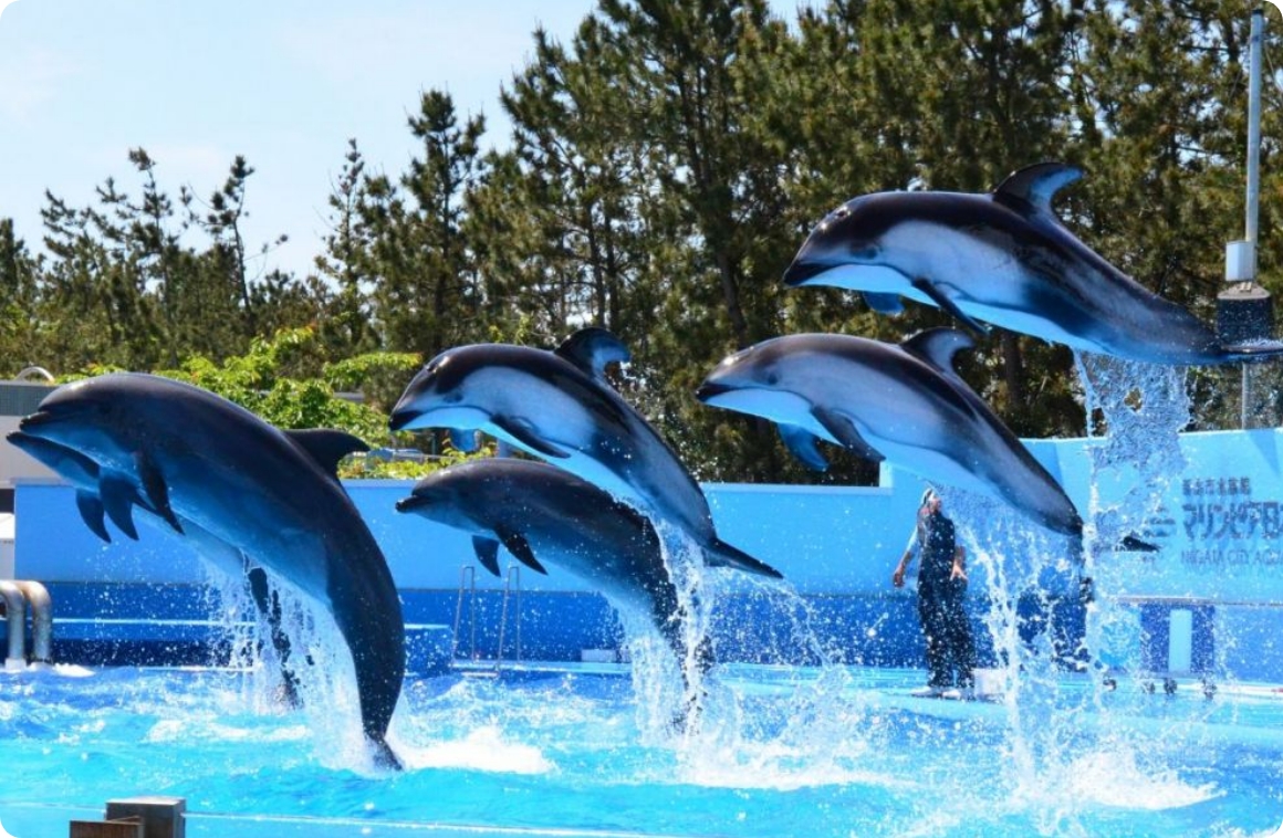 新潟市水族館マリンピア日本海